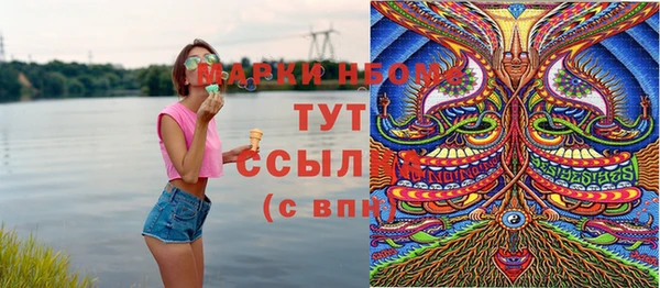 МДПВ Нея