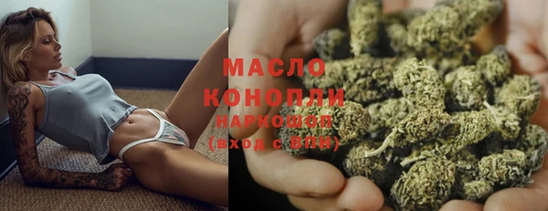 МДПВ Нея