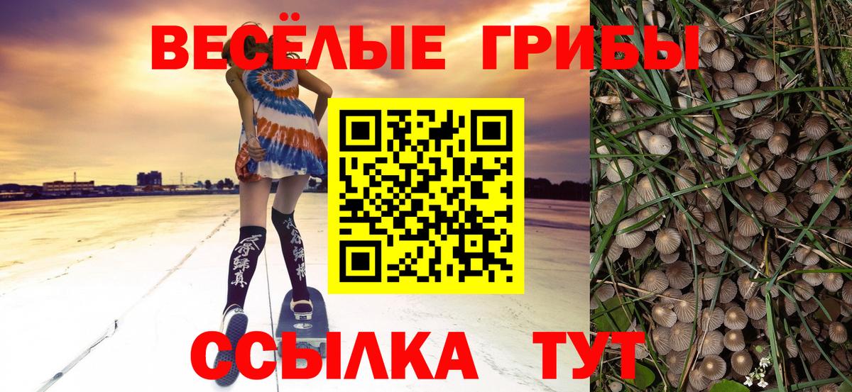 Псилоцибиновые грибы GOLDEN TEACHER  Вход с VPN  Галлюциногенные грибы Psilocybine cubensis  Мытищи 